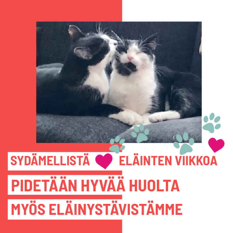 Pidetään huolta eläinystävistämme