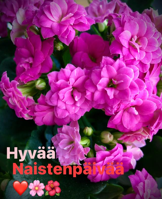 Hyvää Naistenpäivää!