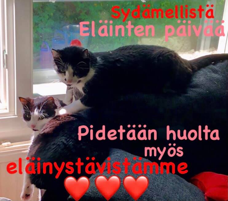 Sydämellistä Eläinten päivää