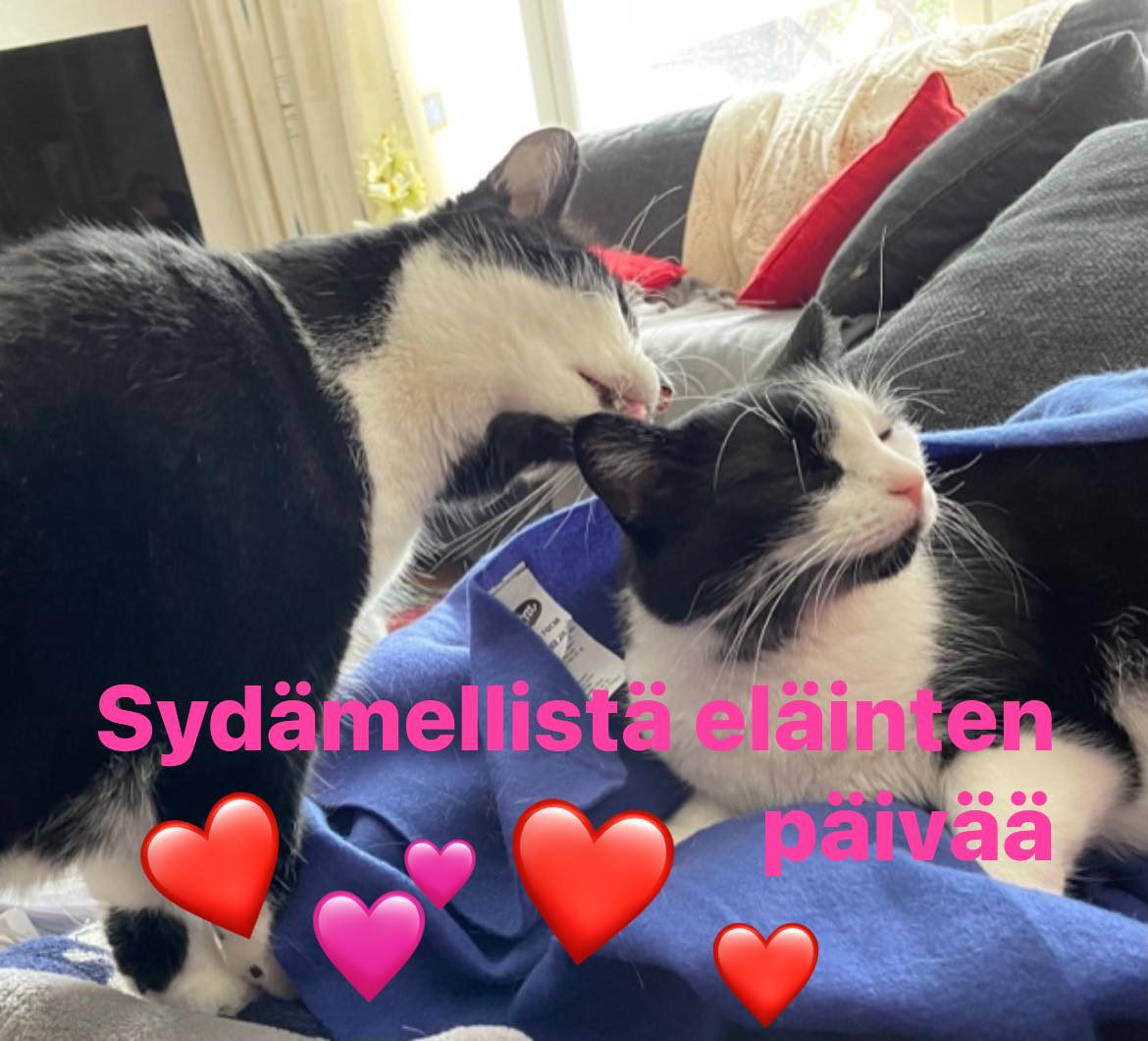 Sydämellistä eläinten päivää