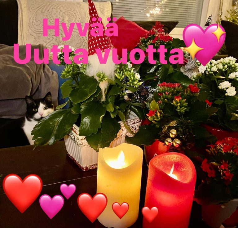 HYVÄÄ UUTTA VUOTTA 2023