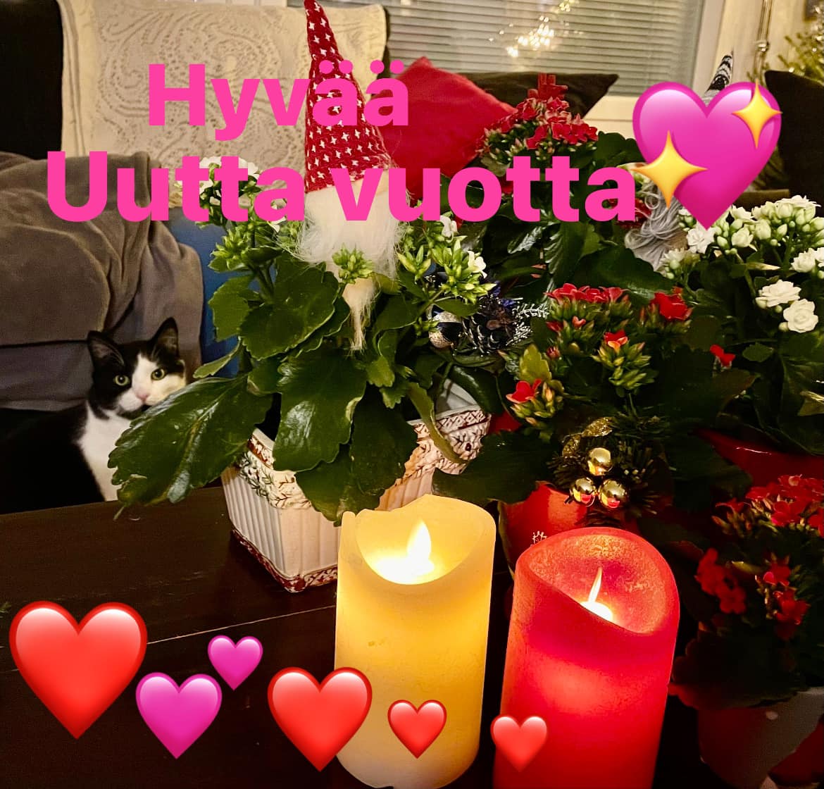 HYVÄÄ UUTTA VUOTTA 2023
