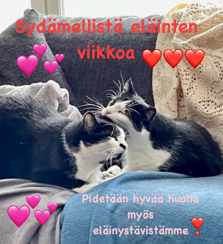 Hyvää eläinten viikkoa!