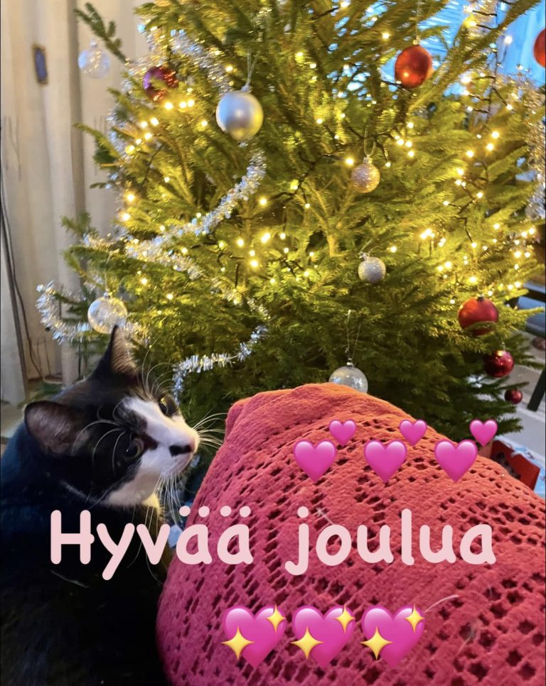 Hyvää joulua