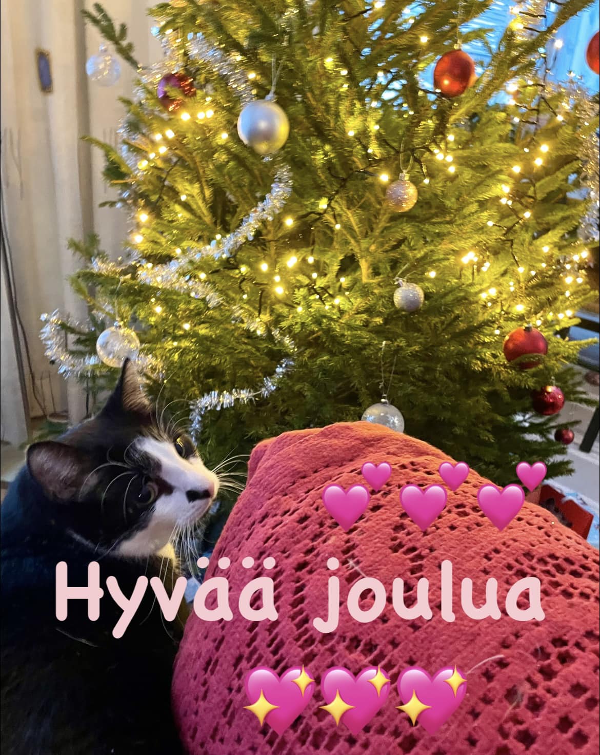 Hyvää joulua