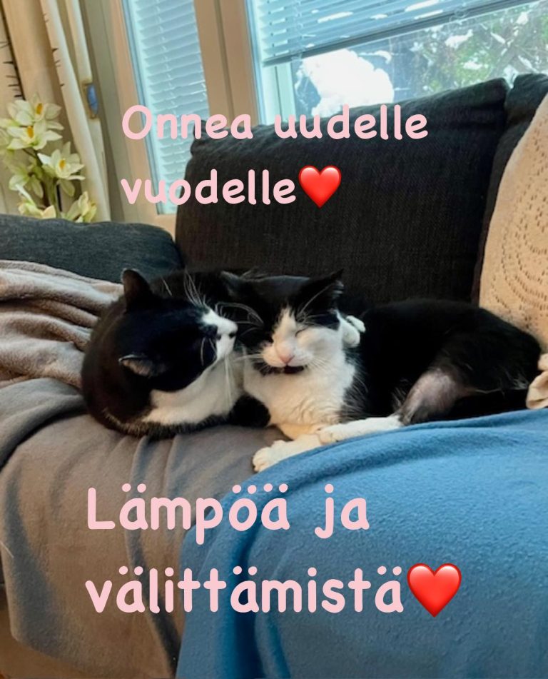 Hyvää vuotta 2024!