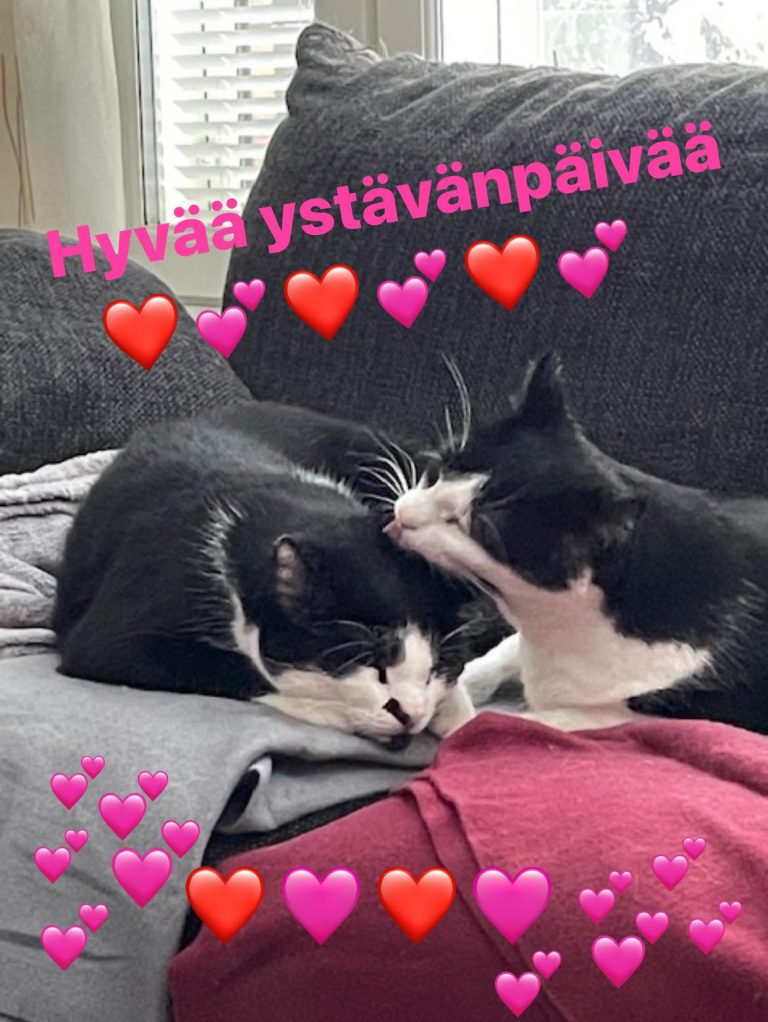 Hyvää Ystävänpäivää!