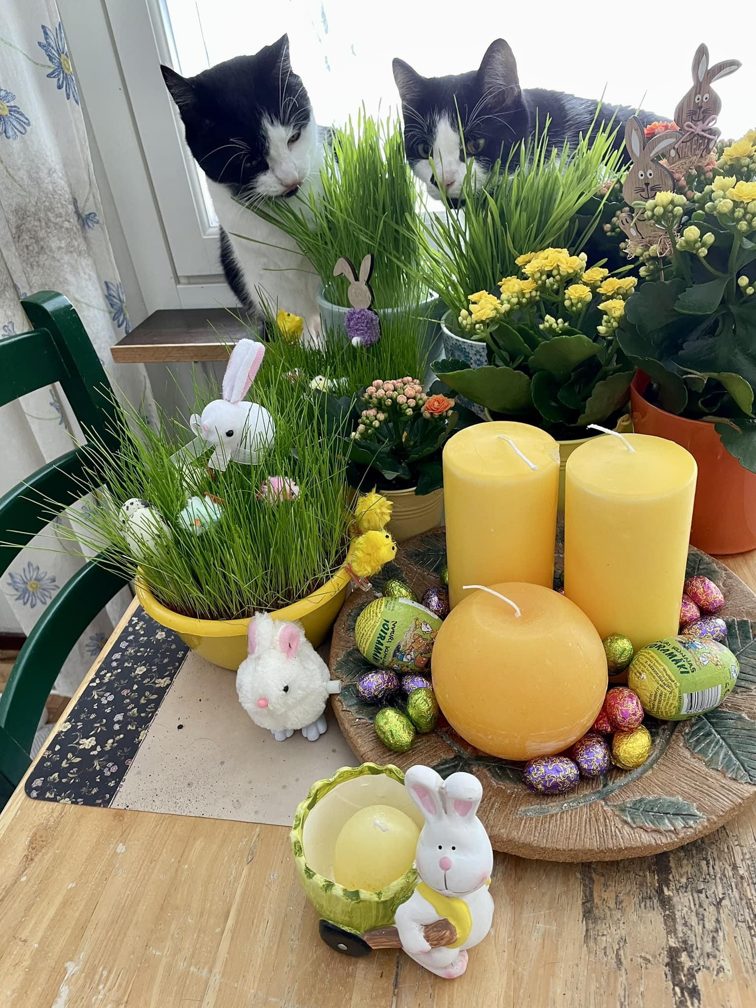 Hyvää ja rauhallista pääsiäistä!