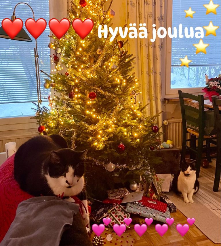Hyvää Joulua!