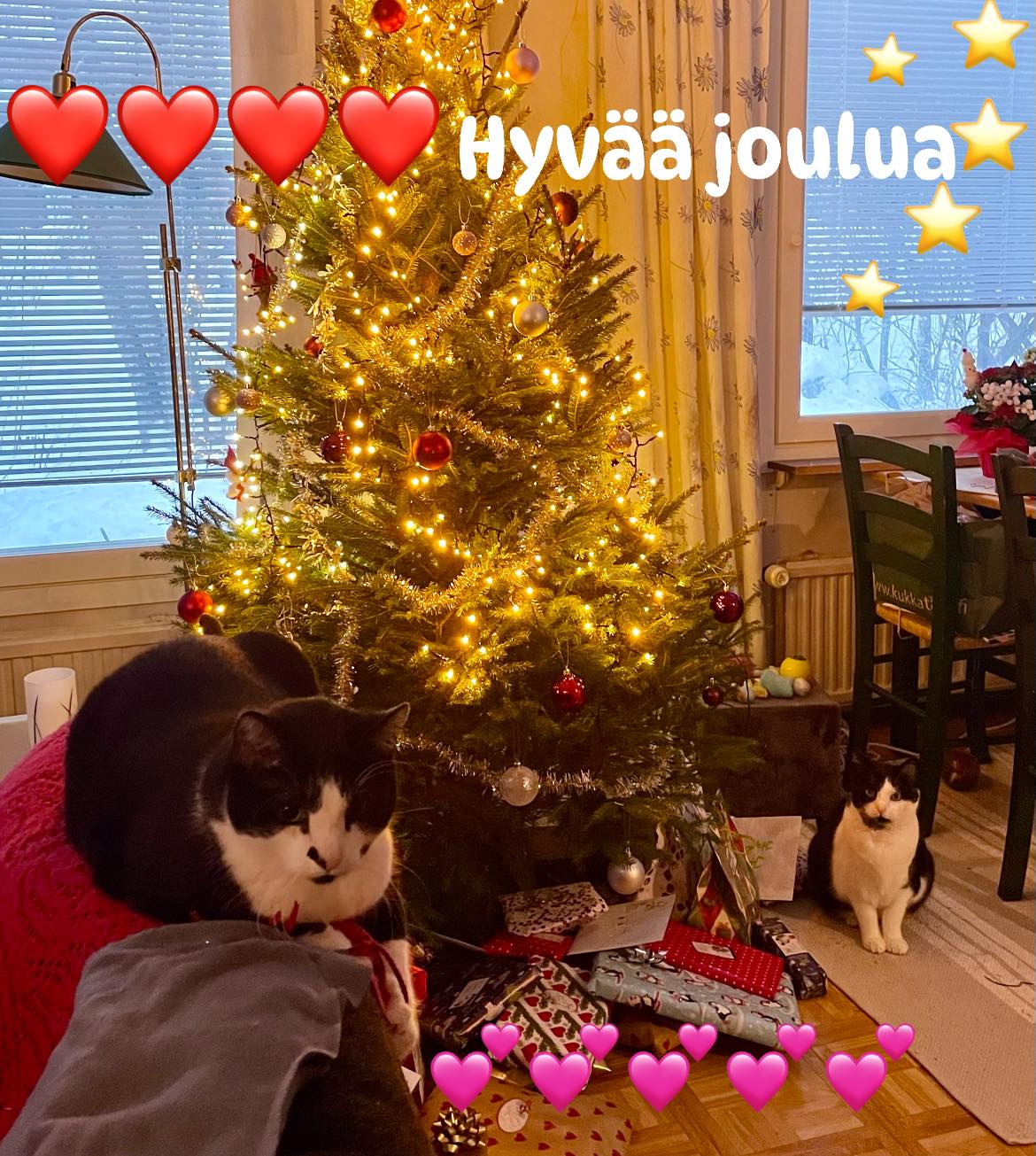 Hyvää Joulua!