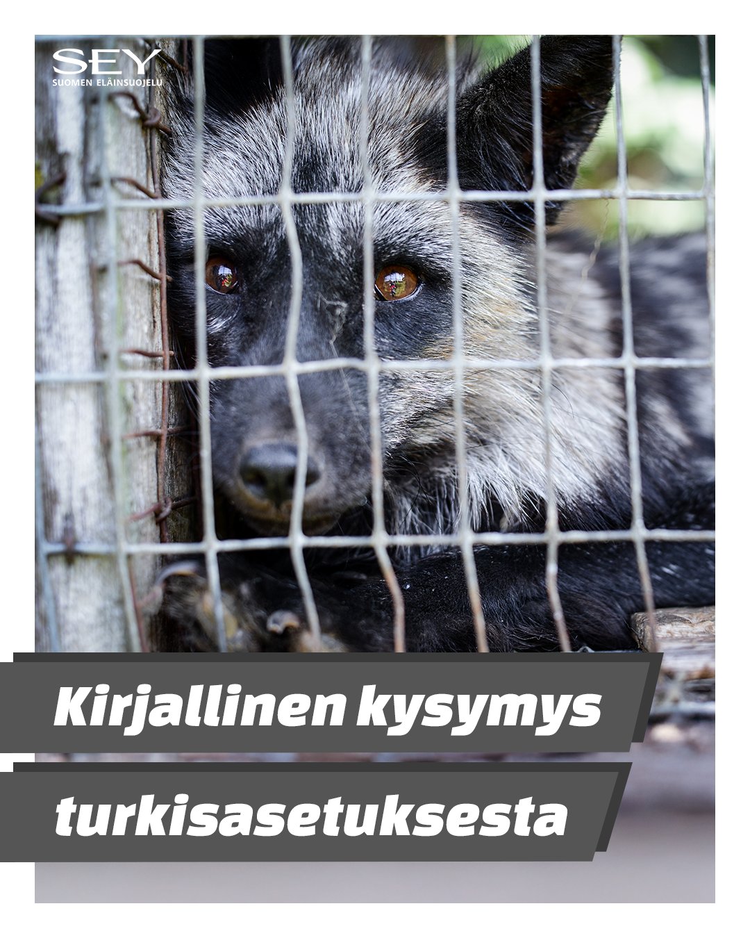 Kirjallinen kysymys turkisasetuksesta