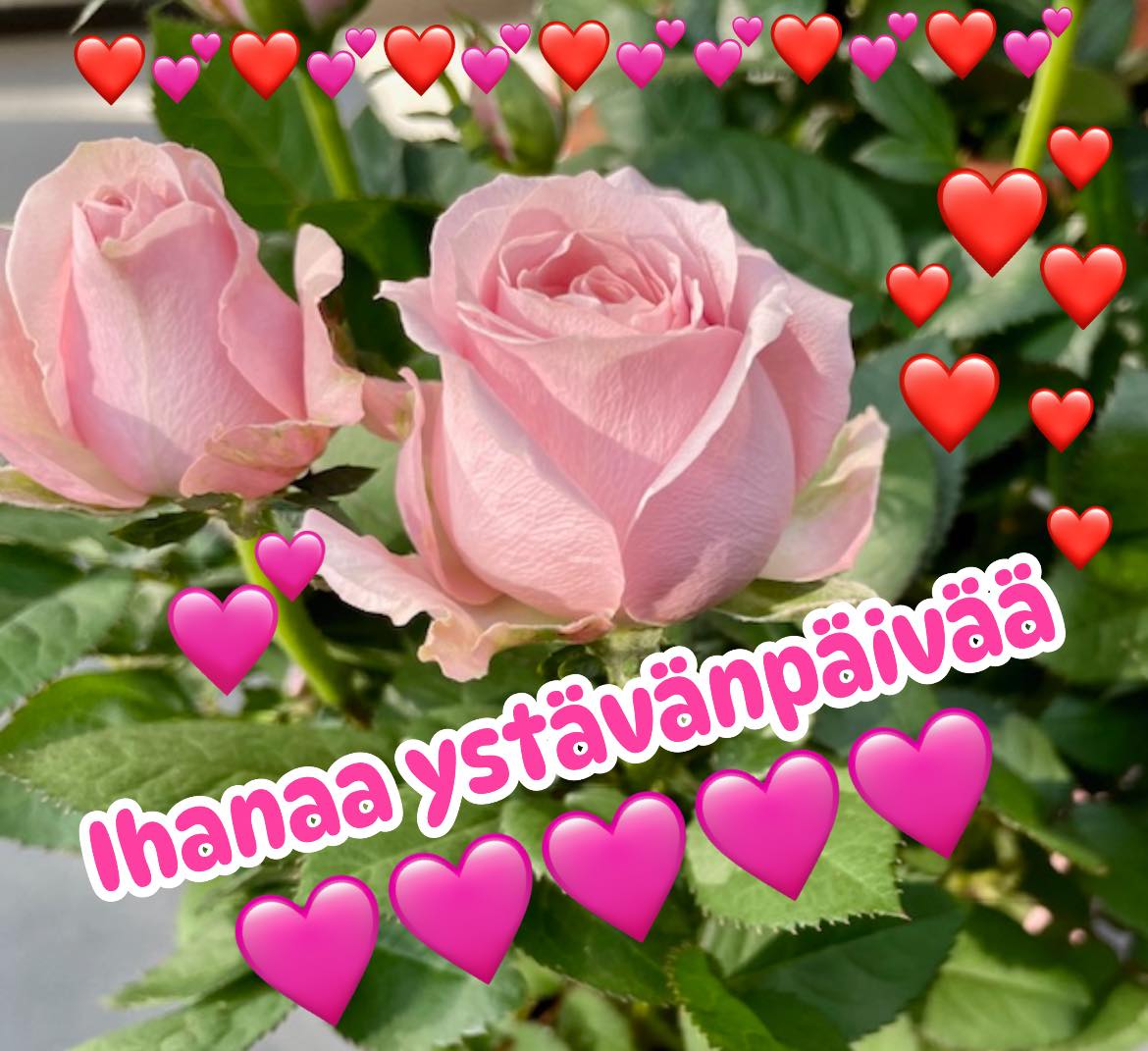 Hyvää Ystävänpäivää!