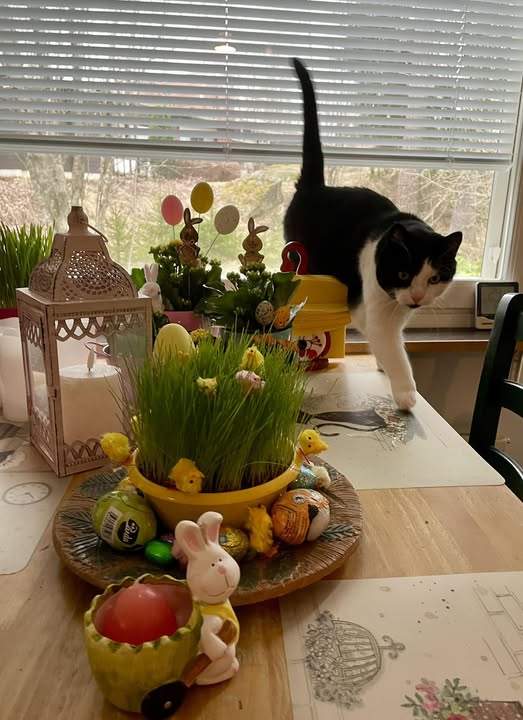 Hyvää pääsiäistä!